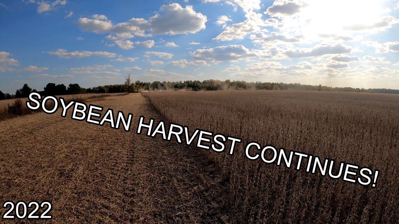 2022 Soybean Harvest Continues!!!