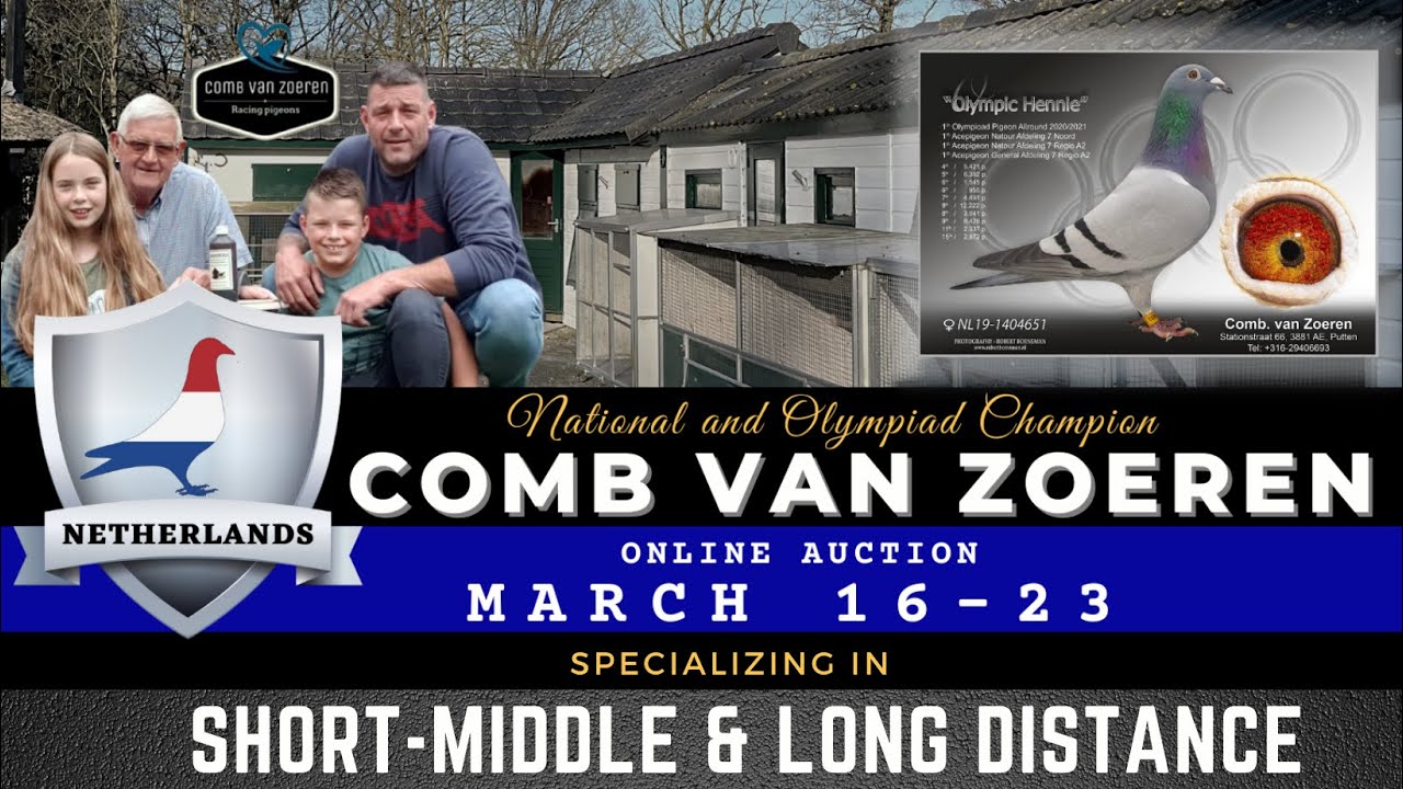 FEPA MEET & GREET WITH COMB VAN ZOEREN RACING PIGEONS-THE NETHERLANDS  - COMB VAN ZOEREN (MAR 2022)
