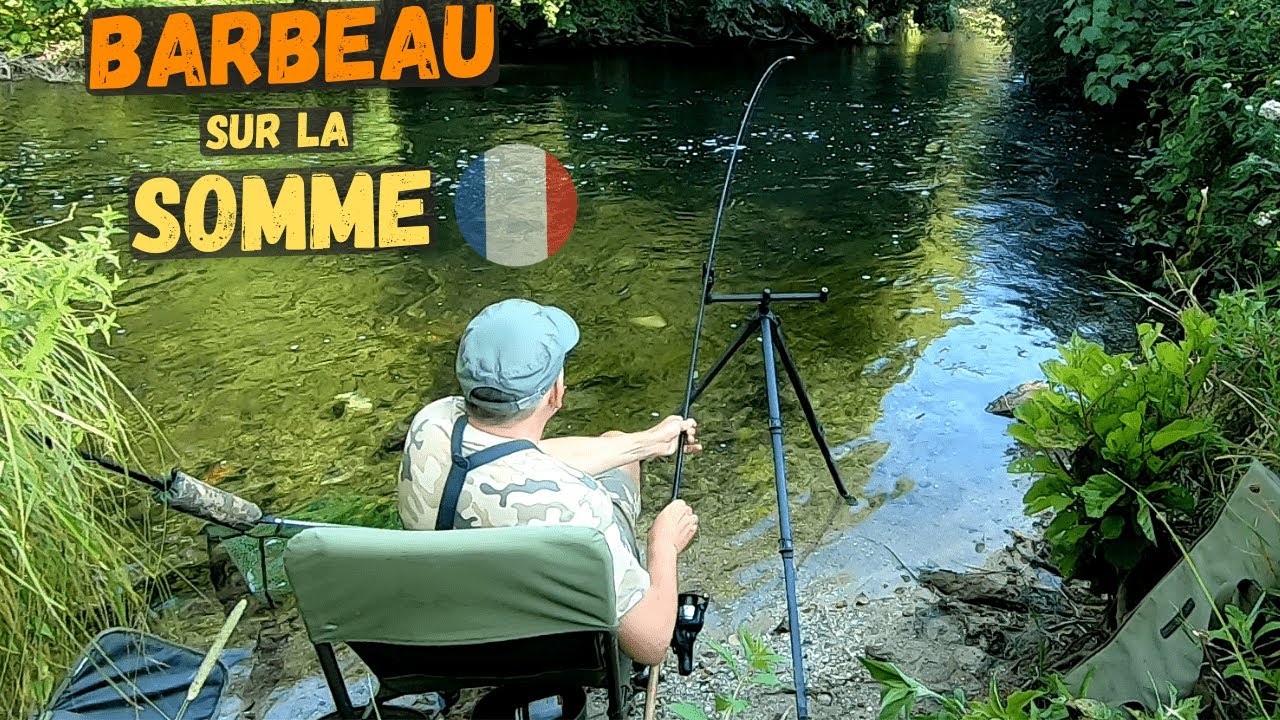 A la recherche du Barbeau sur la Somme (partie 2)
