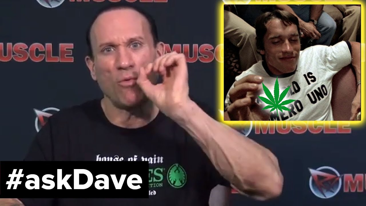 MARIJUANA & BODYBUILDING? #askDave