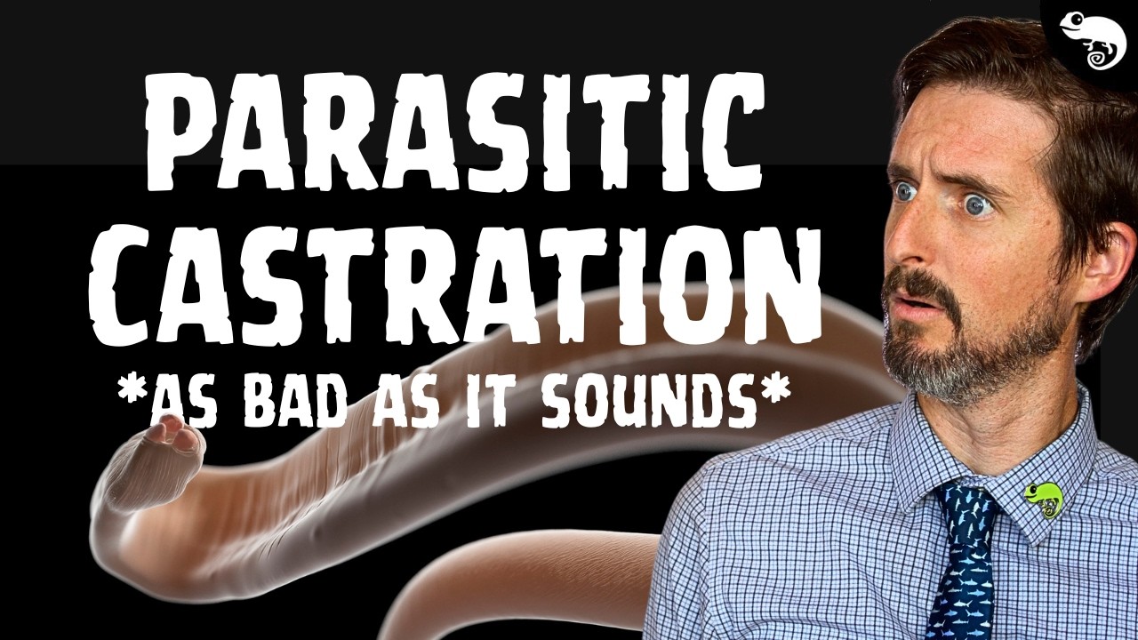 Making Babies By Hijacking Crabs - A How-to Guide To Parasitic Castration