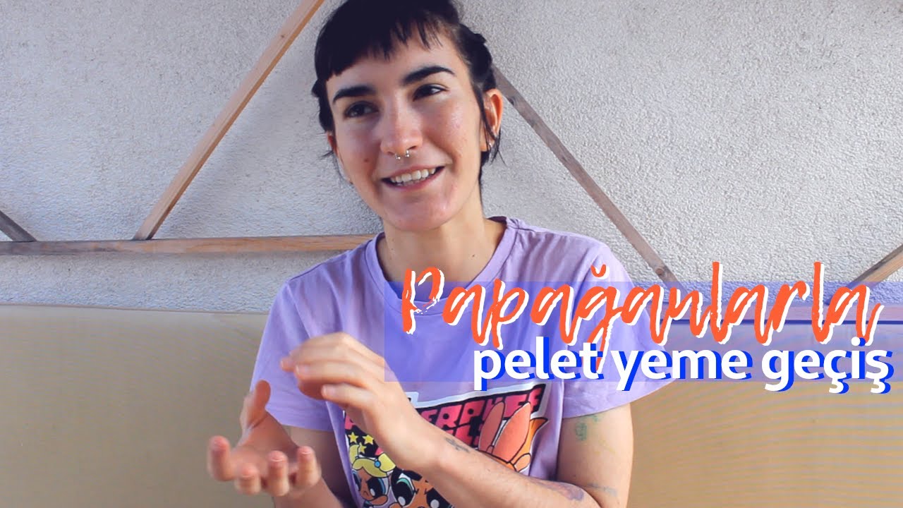 Papağanım Pelet Yemiyor! | Pelete Alıştırma Yöntemleri