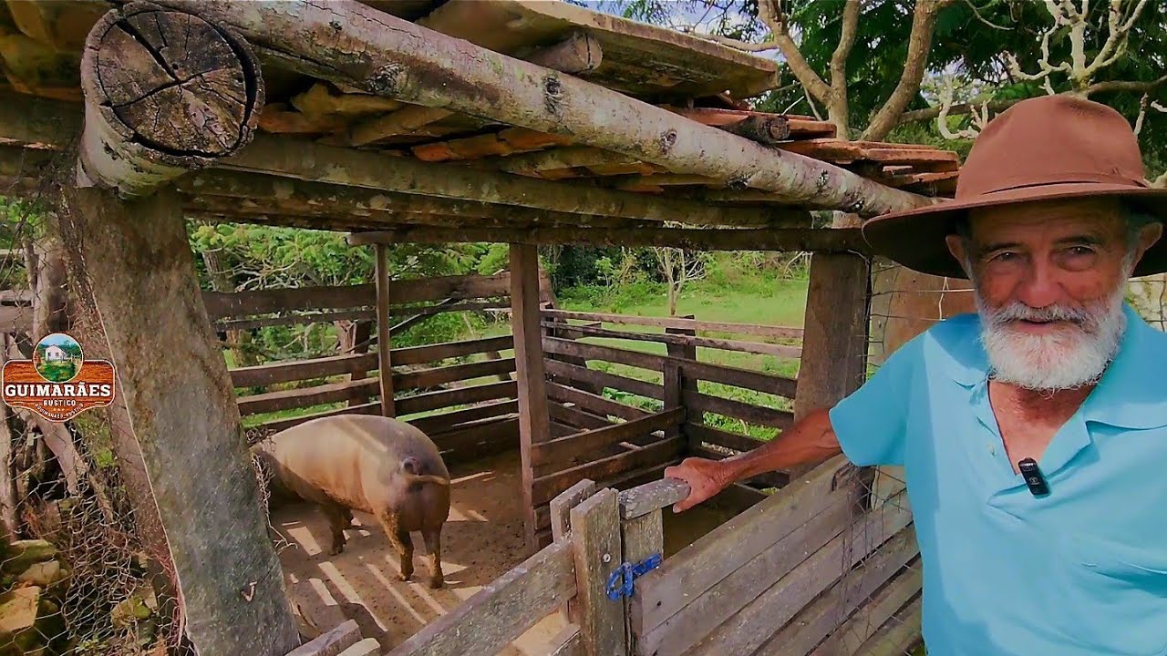 SEU JOÃO NOGUEIRA,CONTA COMO SEU PAI ADQUIRIU TERRAS ,CRIANDO PORCOS CAIPIRA. 