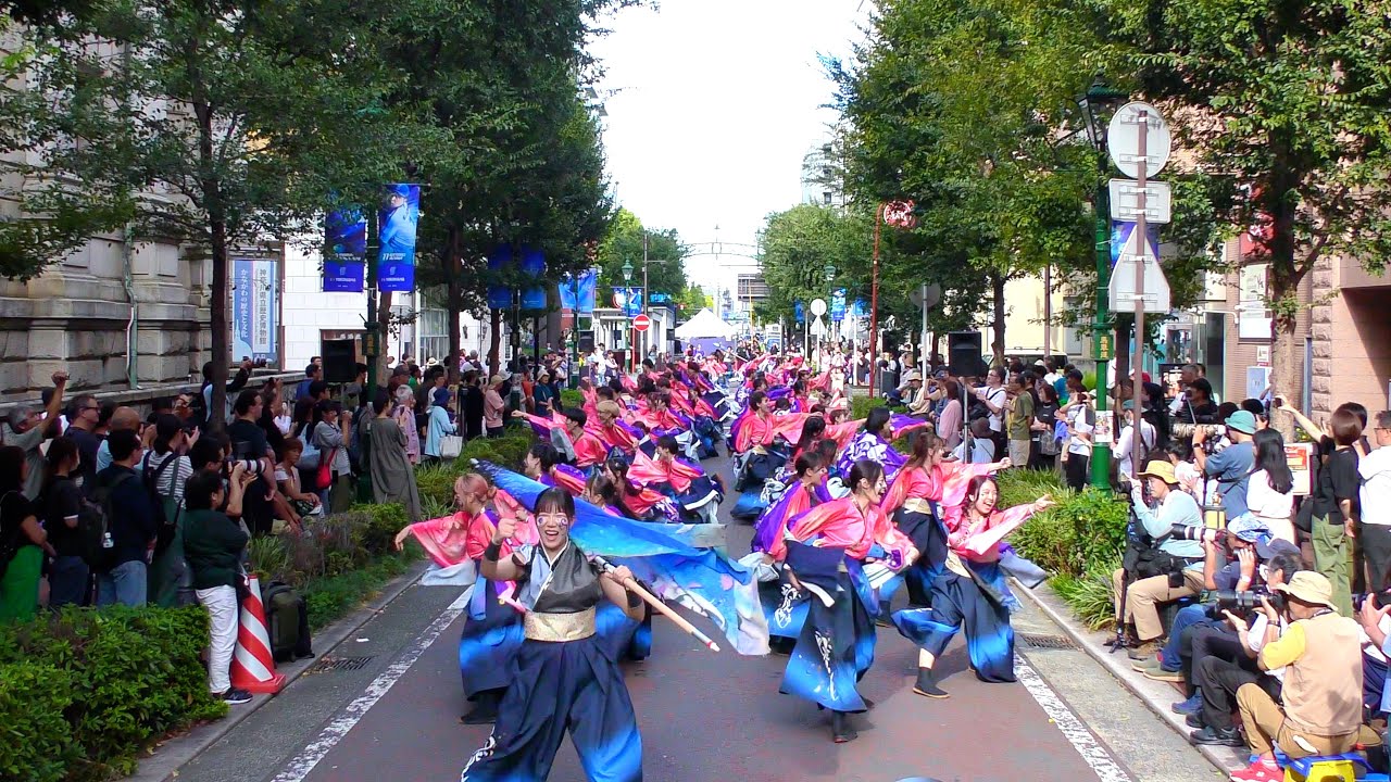 【4K】学生よさこいチームおどりんちゅ｜彗彩（第九回 横浜よさこい祭り/馬車道通りパレード①会場）