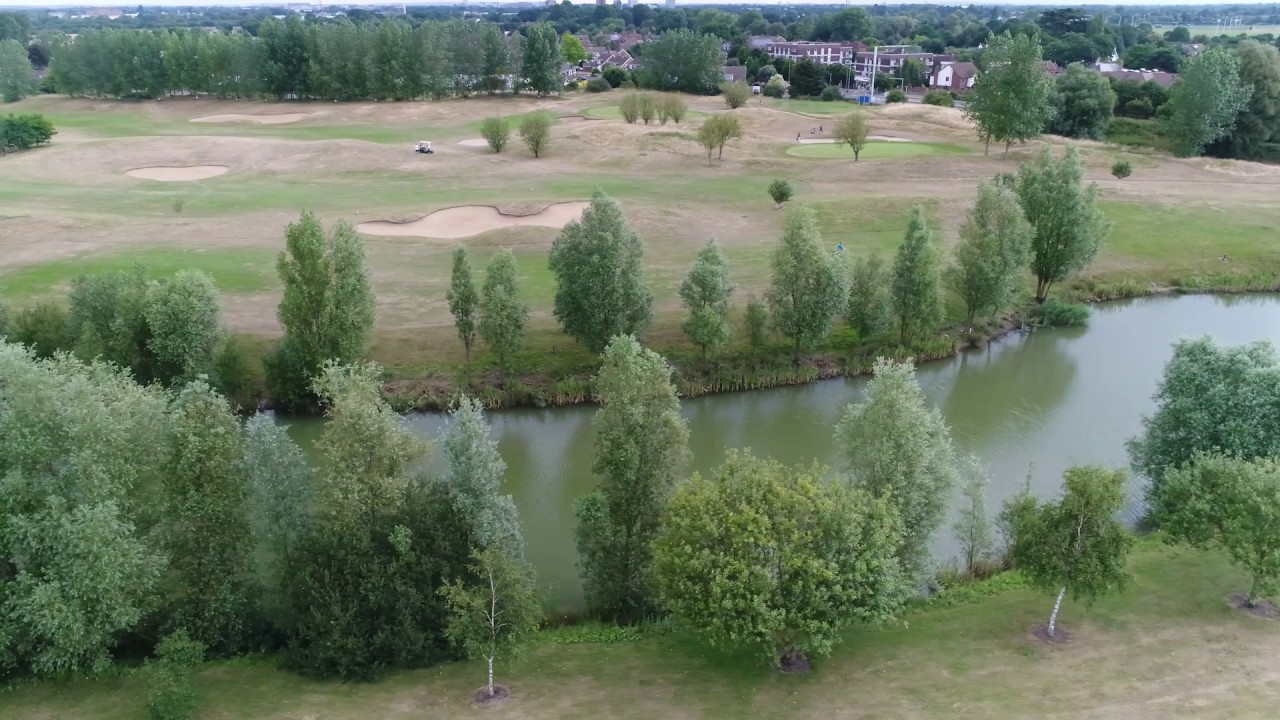 Sunbury Golf rushes