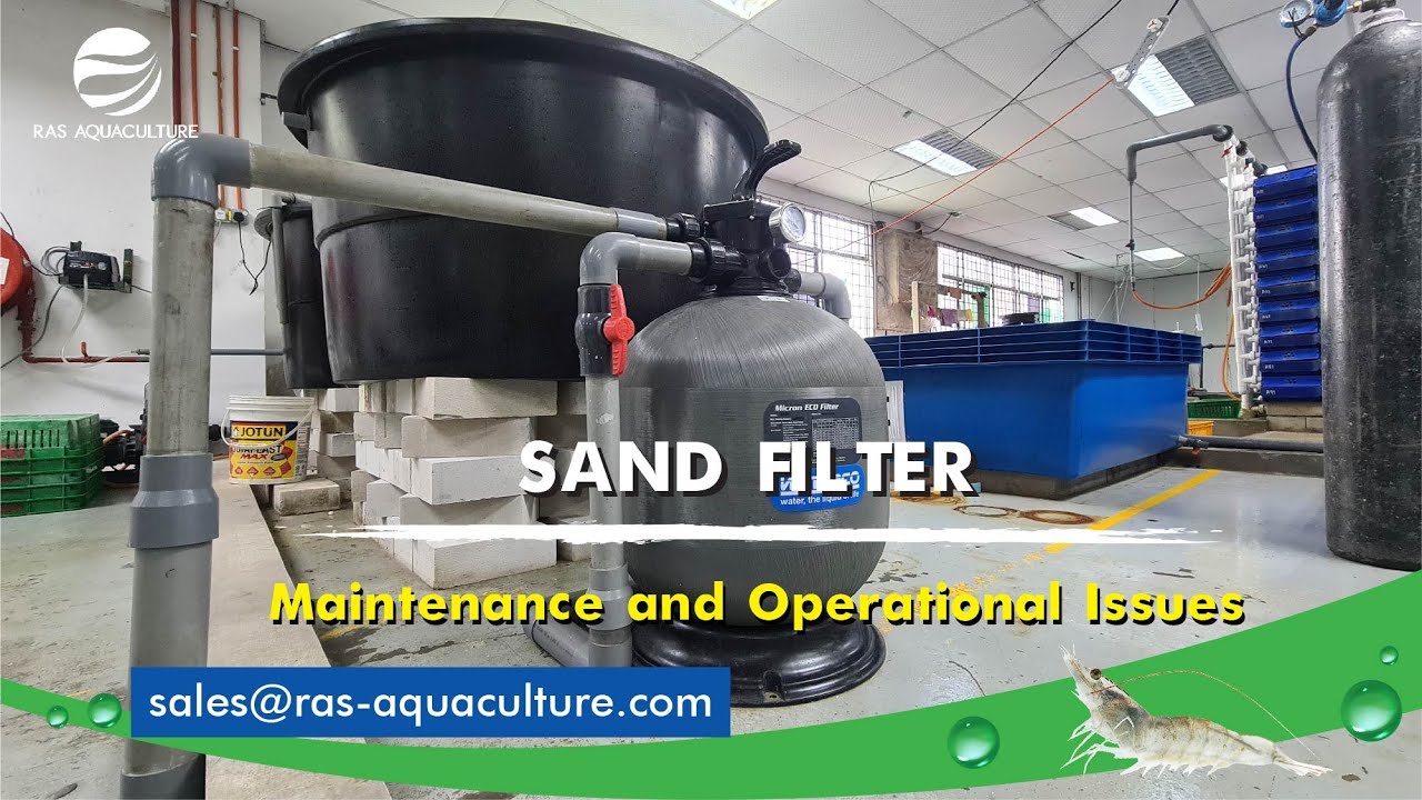 Sand Filter Maintenance for our CLEARWATER RAS