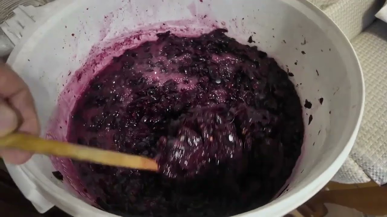 Вино из винограда в ДОМАШНИХ УСЛОВИЯХ ДЛЯ НАЧИНАЮЩИХ. 