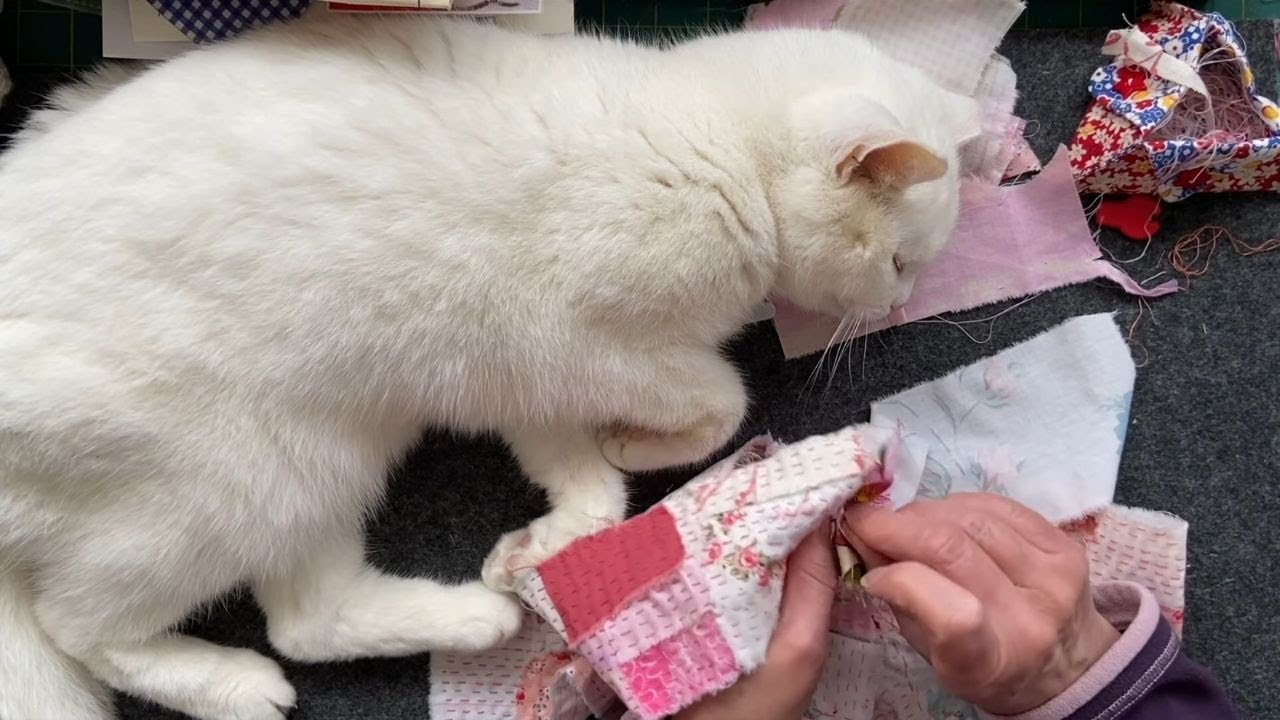 Dedicated To My Little Helper Snowbell - R.I.P