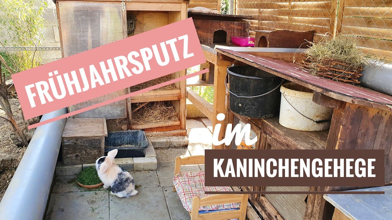 Frühjahrsputz im Kaninchengehege 🧹🐇
