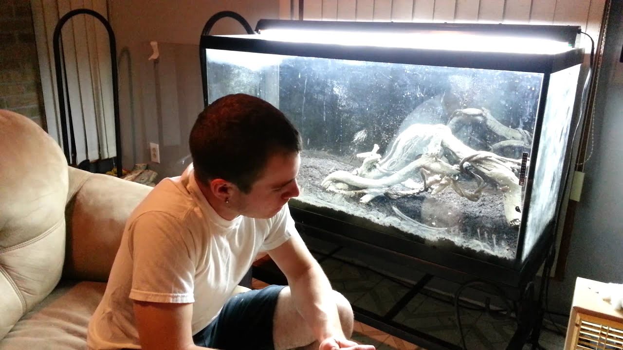 1. How to set up a Dirted Tank