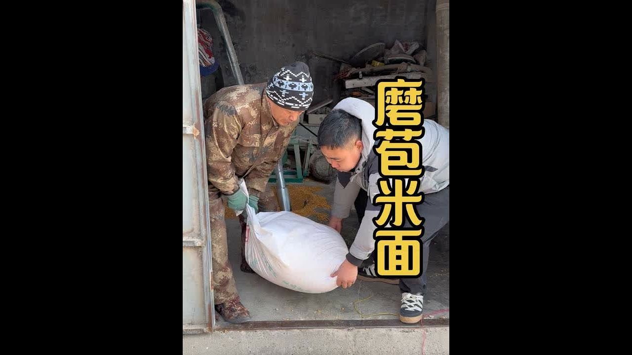今天和我爸去给鸡磨苞米面，我爸说就剩这些苞米了 吃没了就饿着吧哈哈哈#记录我的农村生活 #东北猫冬日常
