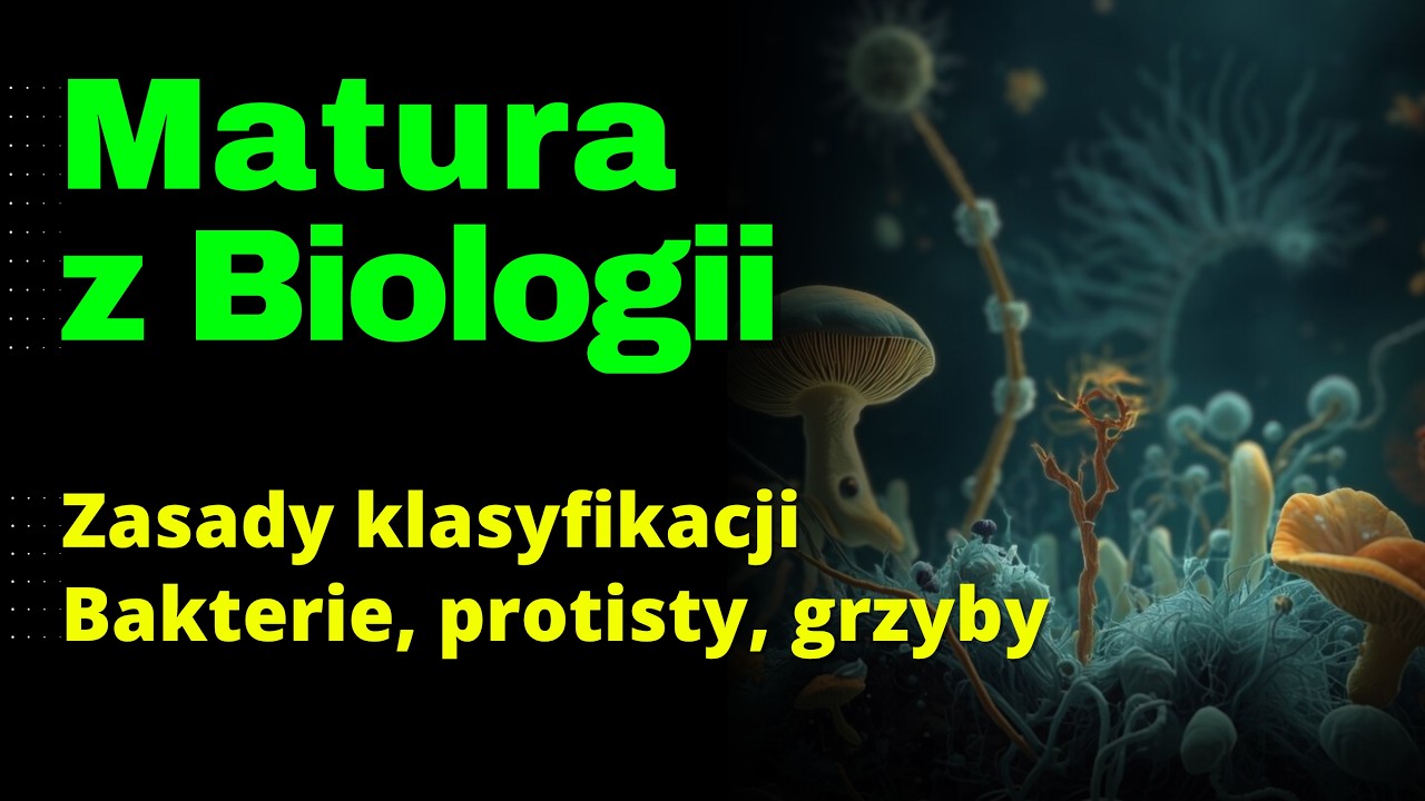 3/12 Zasady klasyfikacji, bakterie, protisty, grzyby - BIOLOwieczorki 2026-02-25