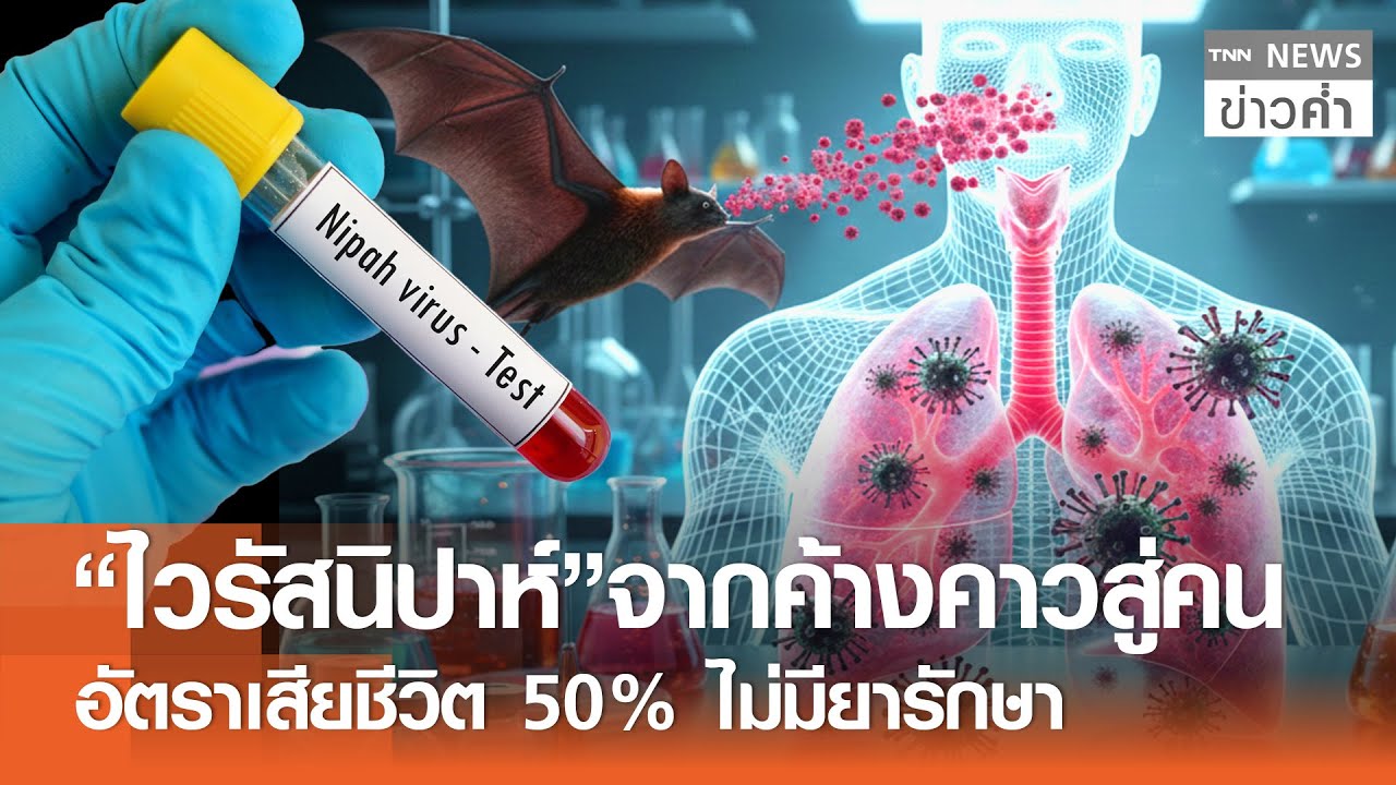“ไวรัสนิปาห์”จากค้างคาวสู่คน อัตราเสียชีวิต 50% ไม่มียารักษา | TNN ข่าวค่ำ | 24 ม.ค. 69