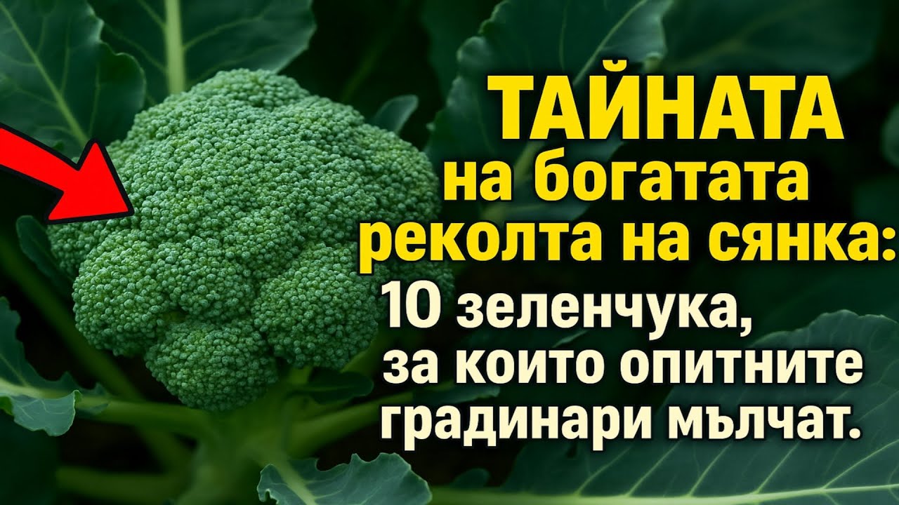 ТАЙНАТА на богатата реколта на сянка: 10 зеленчука, за които опитните градинари мълчат.