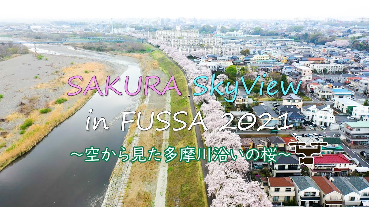 SAKURA SkyView in FUSSA 2021～空から見た多摩川沿いの桜～