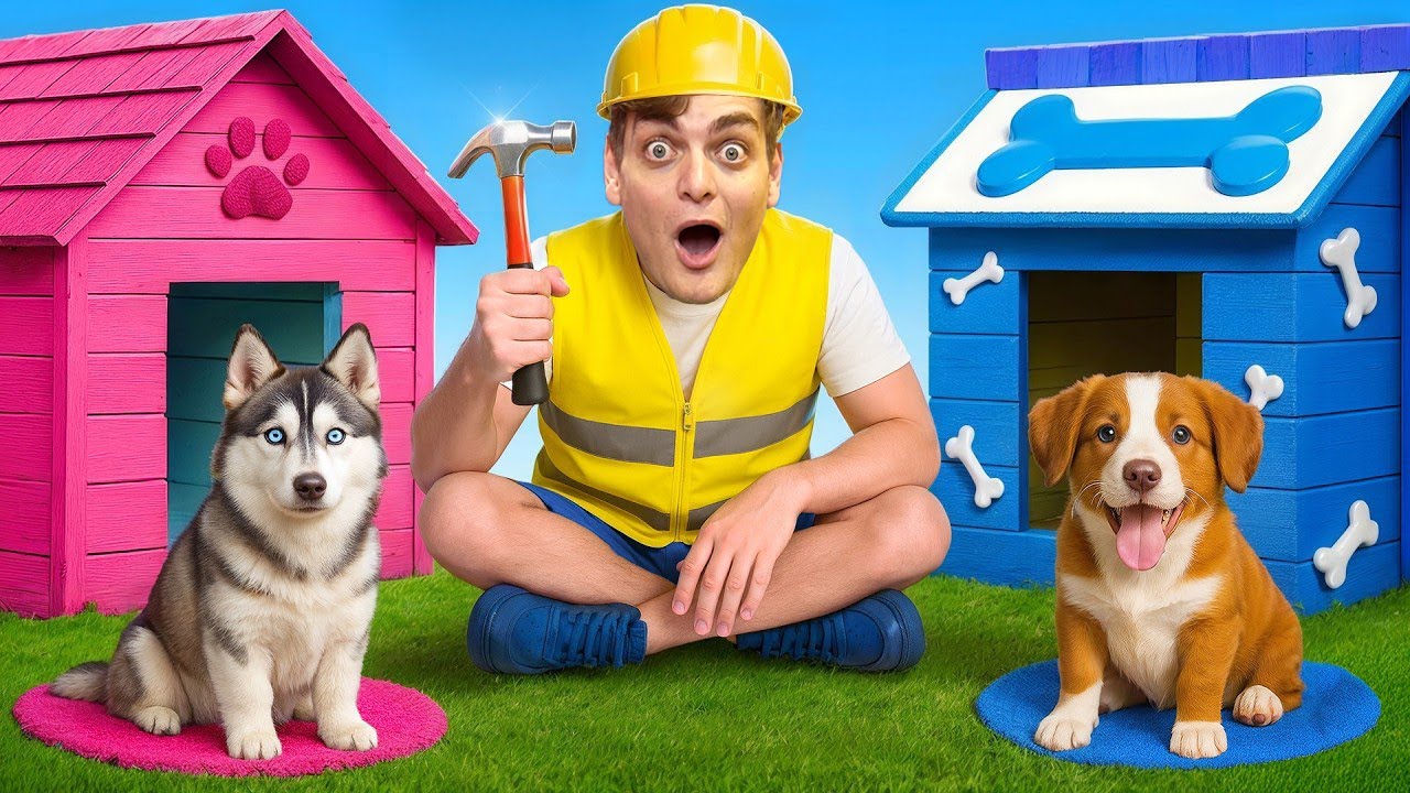 CHI COSTRUISCE LA CASA PER CANI PIÙ BELLA VINCE 1000€! 