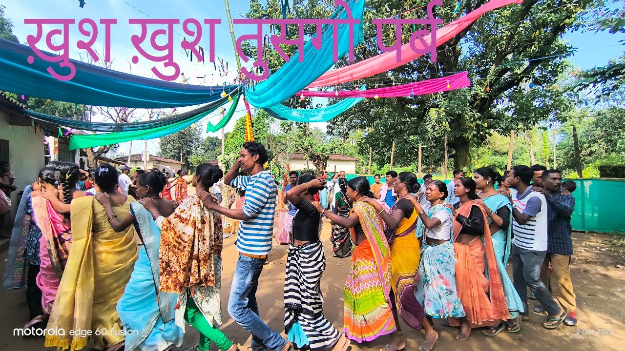 हमारे गांव का तुसगो (नवा खानी ) और करमपर्ब//पाठलगांव कुनकुरी // जरूर देखें..