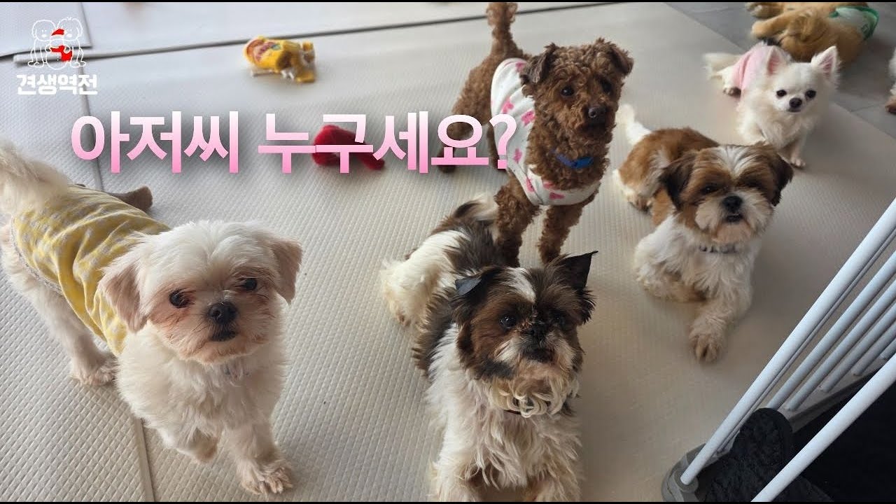 아저씨 누구세요?
