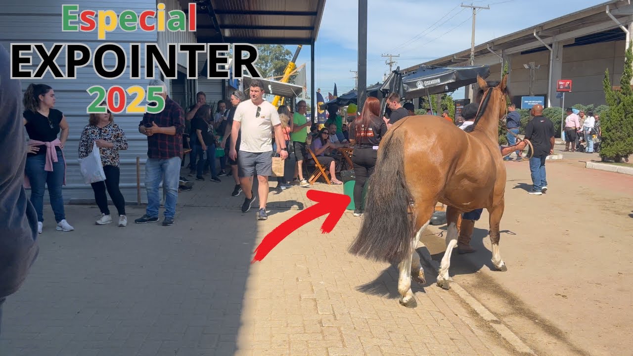 ESPECIAL EXPOINTER 2025 - Cabanha AG
