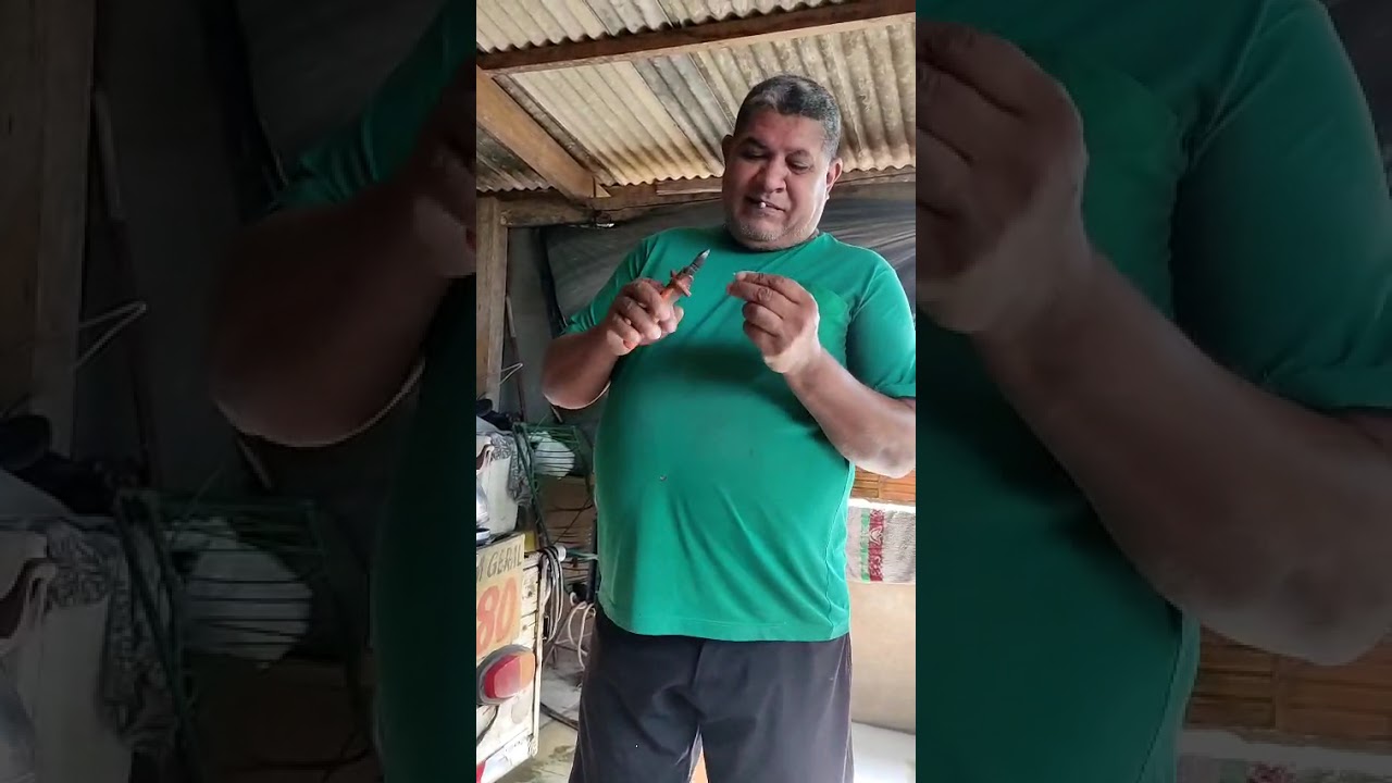 2 de fevereiro de 2026