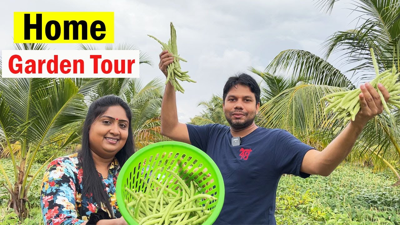 Home Garden Tour | Sri Lanka Food | Tamil Vlogs | Rj Chandru & Menaka