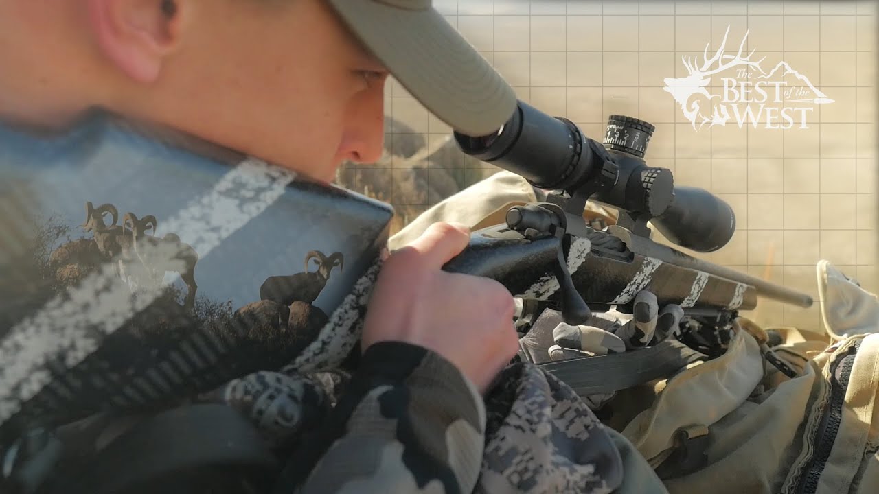 Desert Bighorn HUNT -  (6.5 PRC in ACTION!)