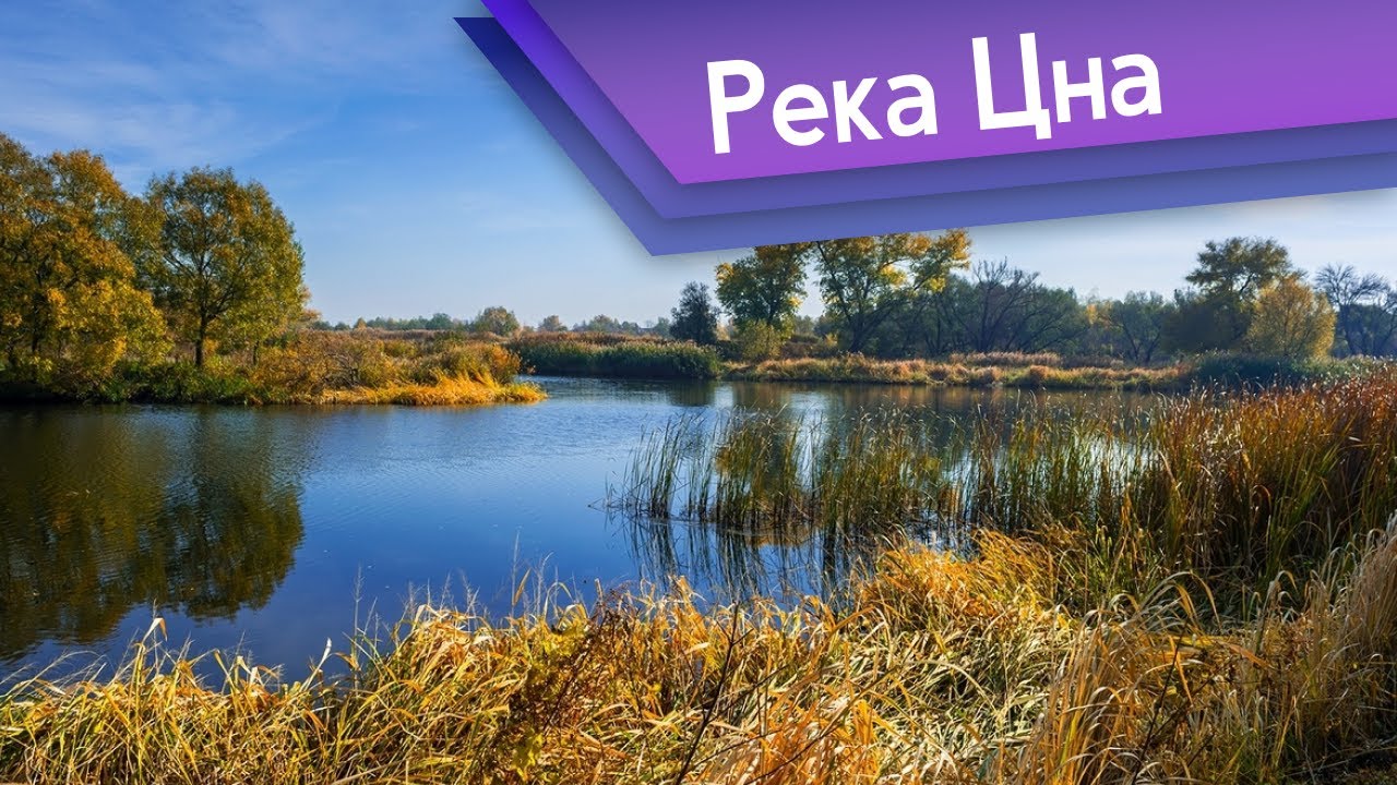 Реки Подмосковья. Река Цна в Егорьевском районе Московской области.