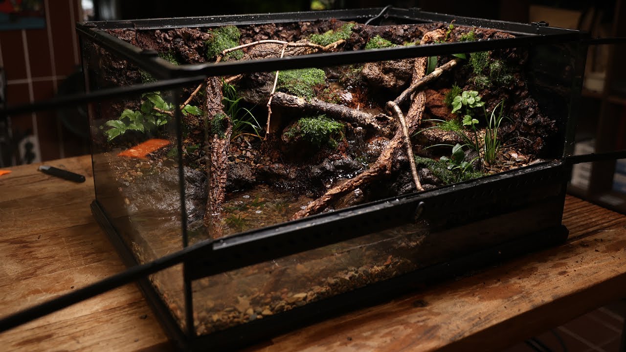 A paludarium built along a Korean valley | 한국의 계곡을 따라 만든 월악산 계곡 팔루다리움 만들기