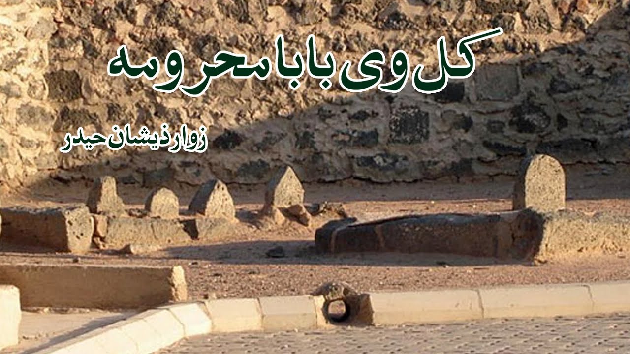 Kal Ve Baba Mahrooma Ham | Zeeshan Haider Noha 8 Shiwal Inhedam e Jannat ul Baqi