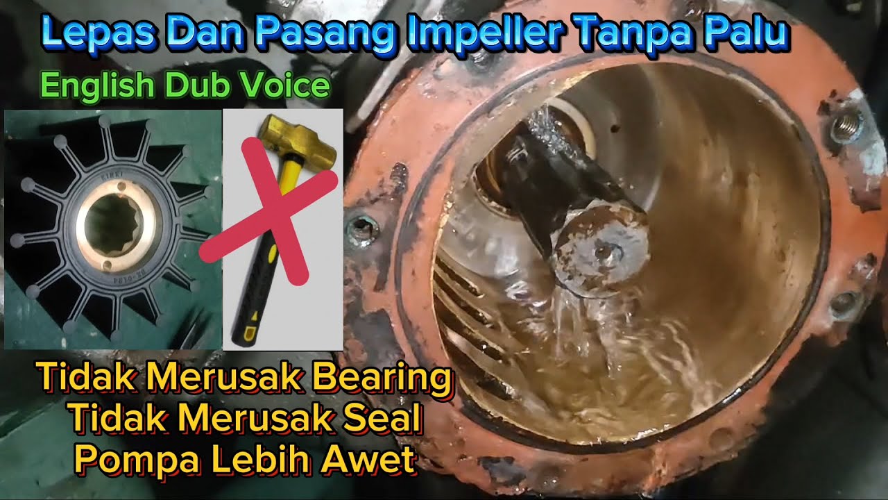 Cara Ganti Impeller Karet Yanmar 6AYM 