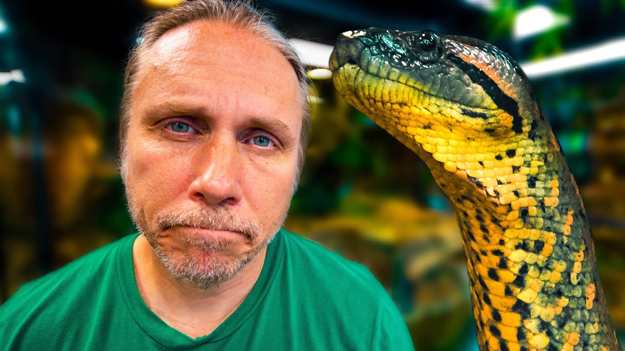 MY MENTAL HEALTH STRUGGLES.. HUGE ANACONDA THERAPY ANIMAL?? | BRIAN BARCZYK