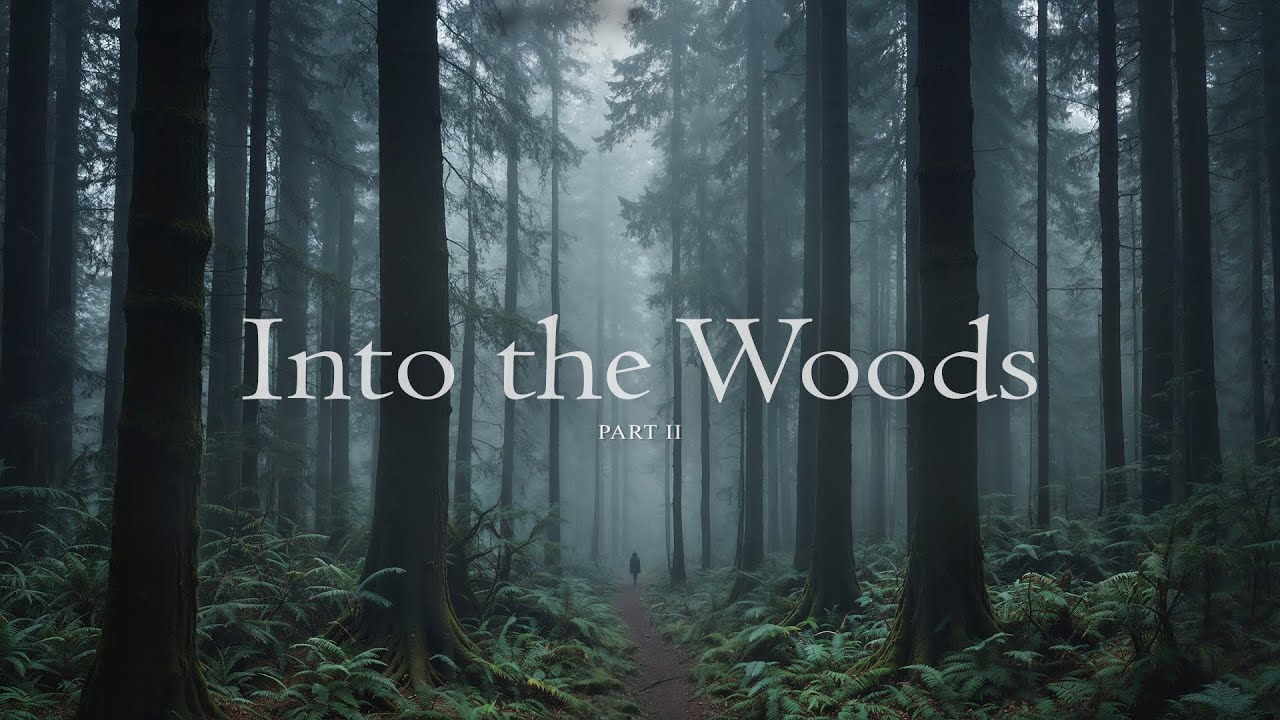 Into the Woods - Misty Forest Ambience and Music for Dreaming and Adventure