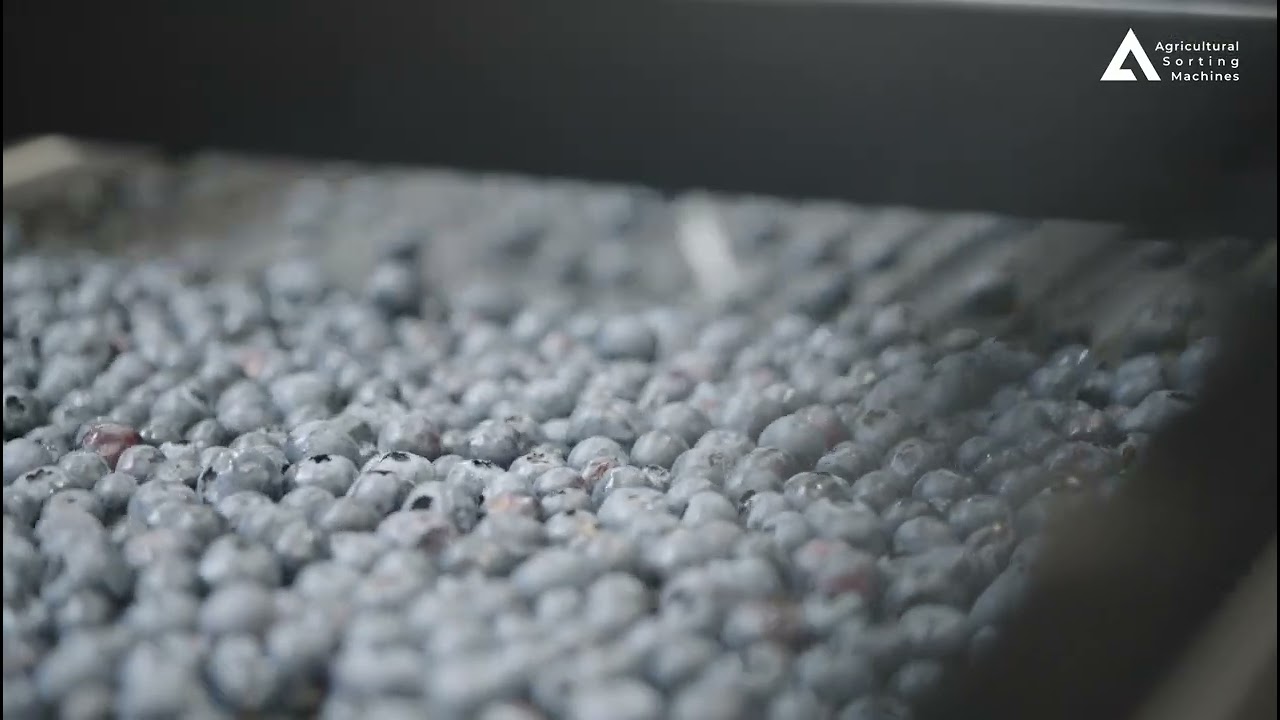 Spreader in ASM sorter – how it works?