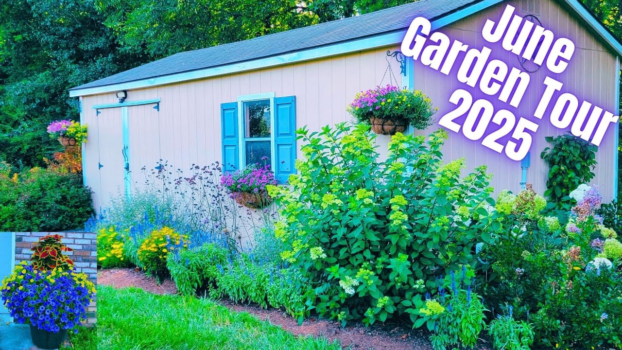 June 2025 Garden Tour | Nature Sounds With Plant Names