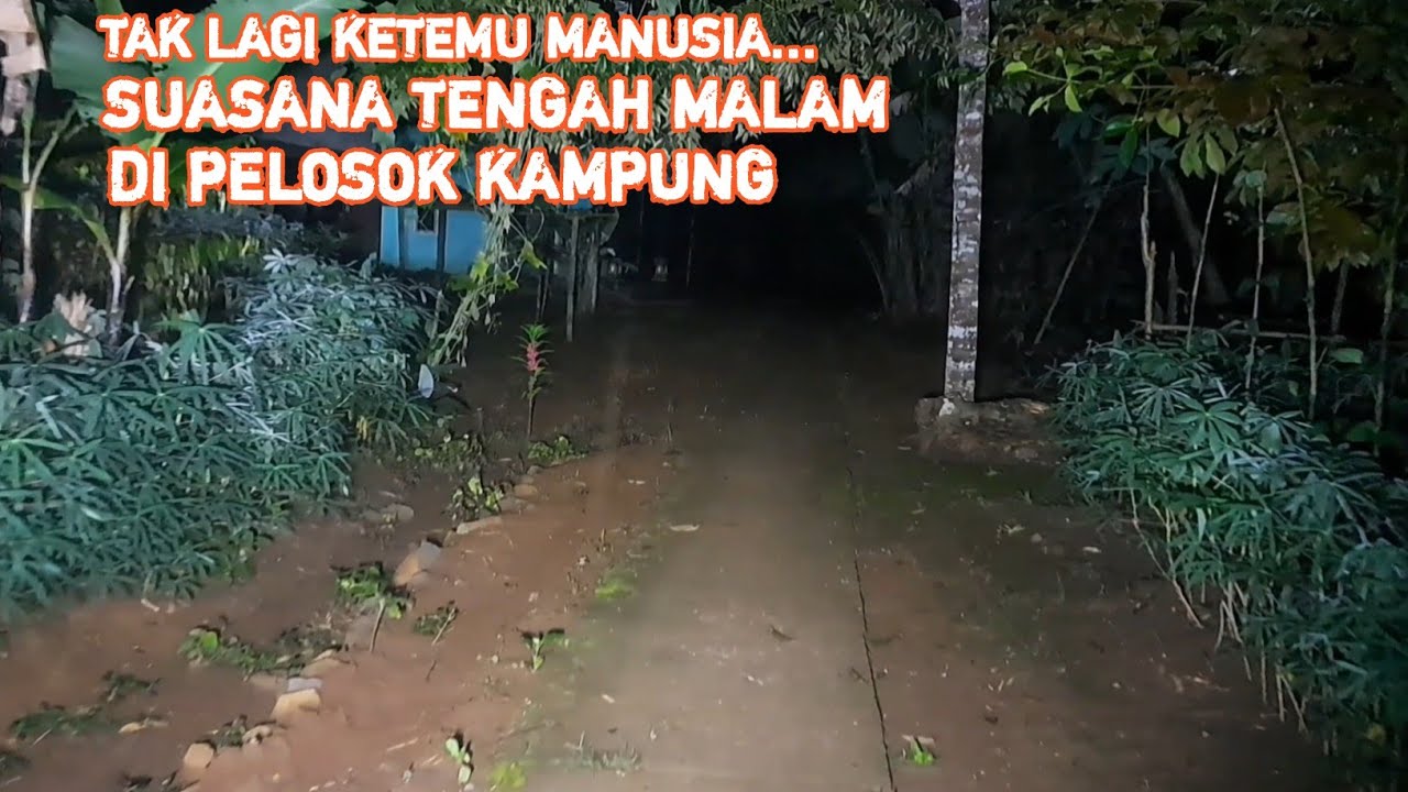 🔴TAK LAGI KETEMU MANUSIA.. BEGINI SUASANA TENGAH MALAM DI PELOSOK KAMPUNG