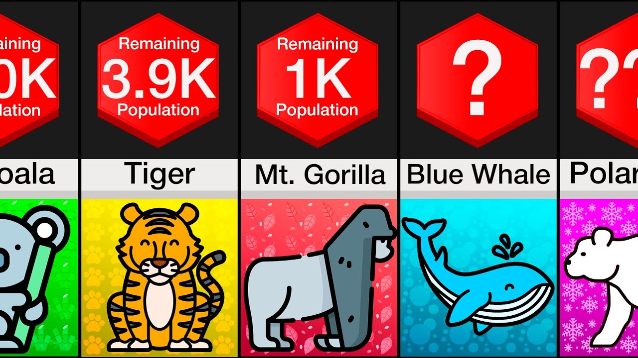Comparison: Endangered Animals