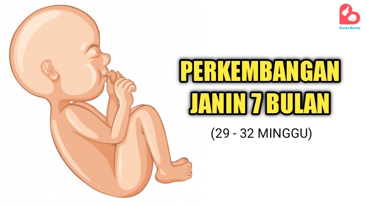 Perkembangan Janin yang Ideal Usia 7 Bulan, Bersiap Masuk Jalan Lahir?