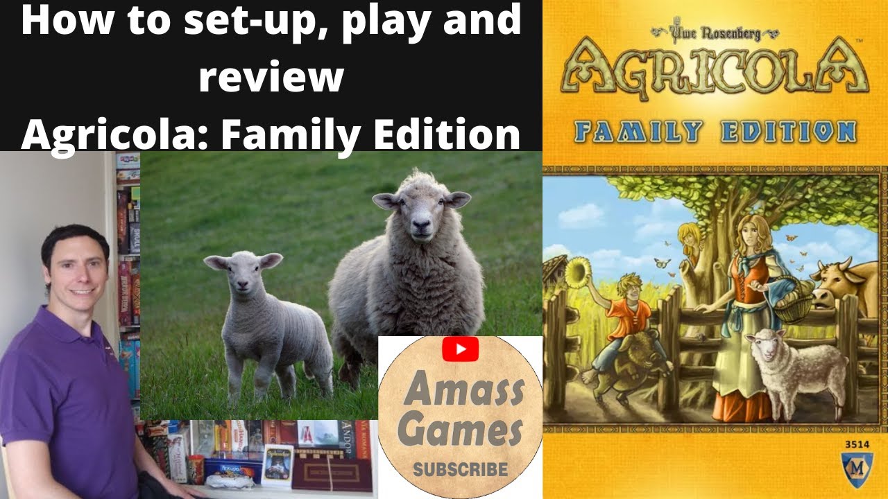 Agricola: Family Edition board game - How to Setup, Play and Review. Worker placement * Amass Games