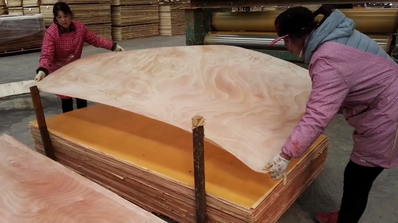 china Film faced plywood,F17 Formply ,LVB/LVL  Lamination Plywood melamine Plywood,Polyester Plywood