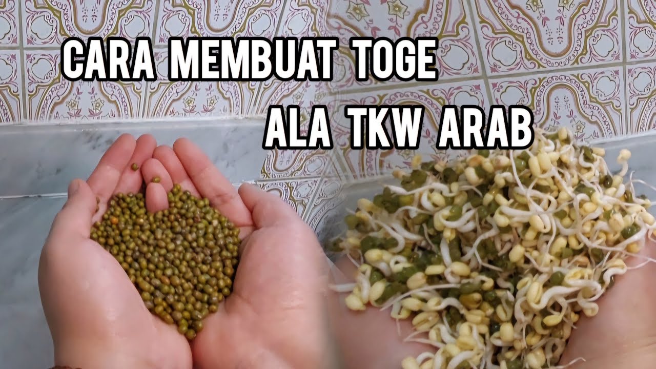 Menjadi TKW harus mandiri. Membuat toge ala tkw arab