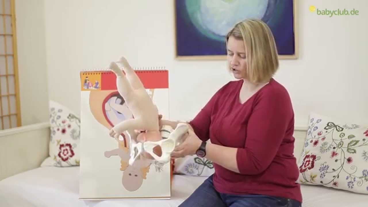 Die Geburt und die Geburtsphasen