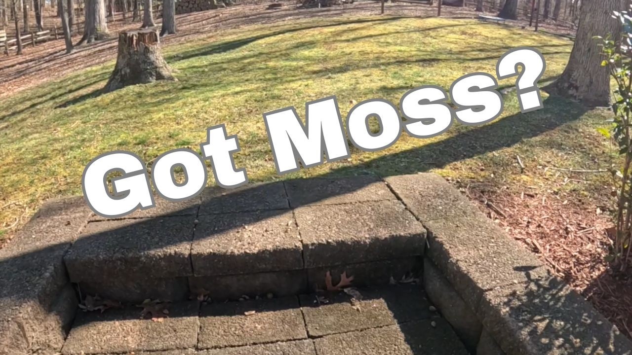 Kill Moss in your UGLY LAWN! Moss Out Granular Application. Step 1