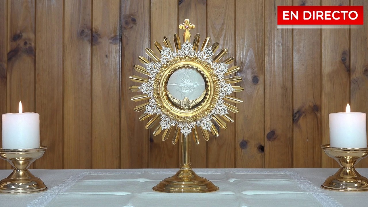 Adoración Eucarística en silencio. Una hora con el Señor expuesto🔥¡Dios me llena de Vida!