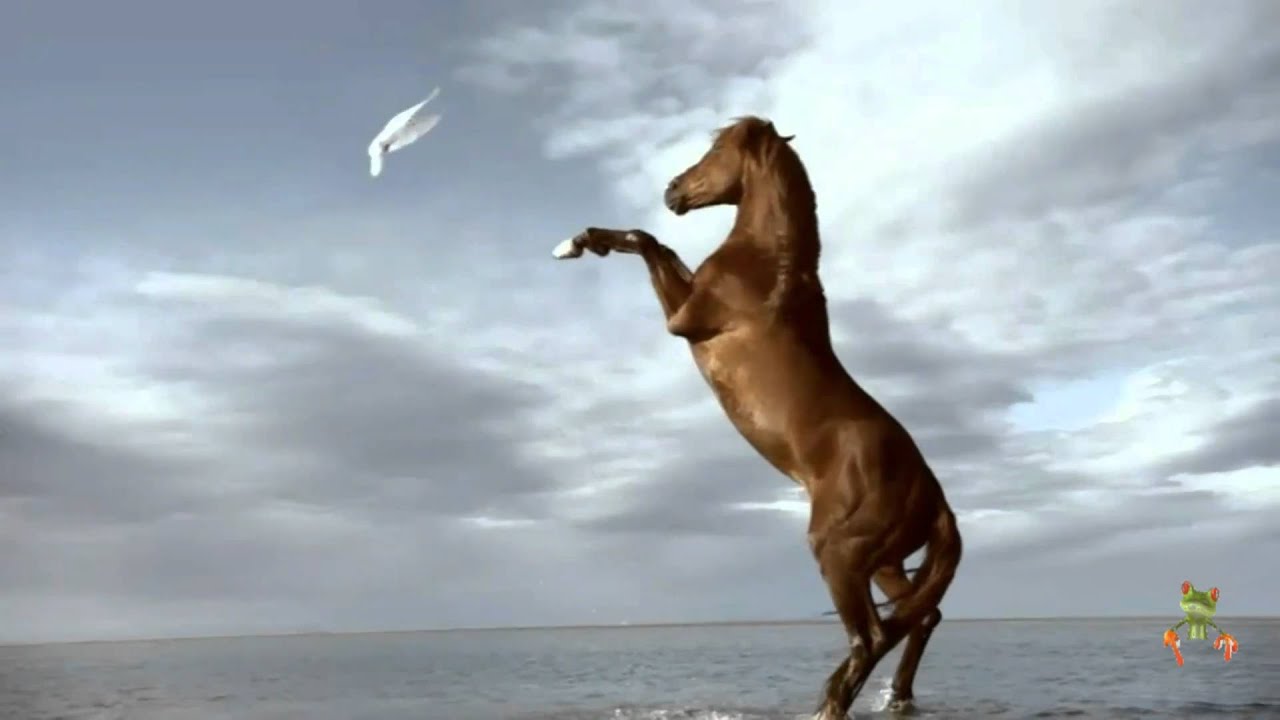 VOYAGE d'Hermès (version longue) [HD 1080]
