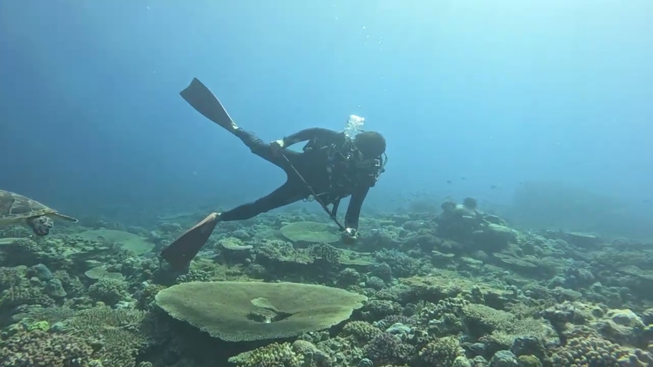 Okinawa 2025 GoPro  10