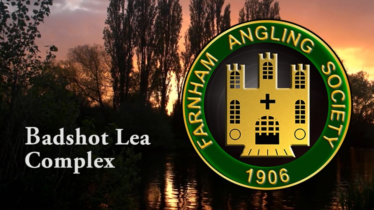 Farnham Angling Society - Introduction to the Badshot Lea Coarse/Carp Fishing Complex