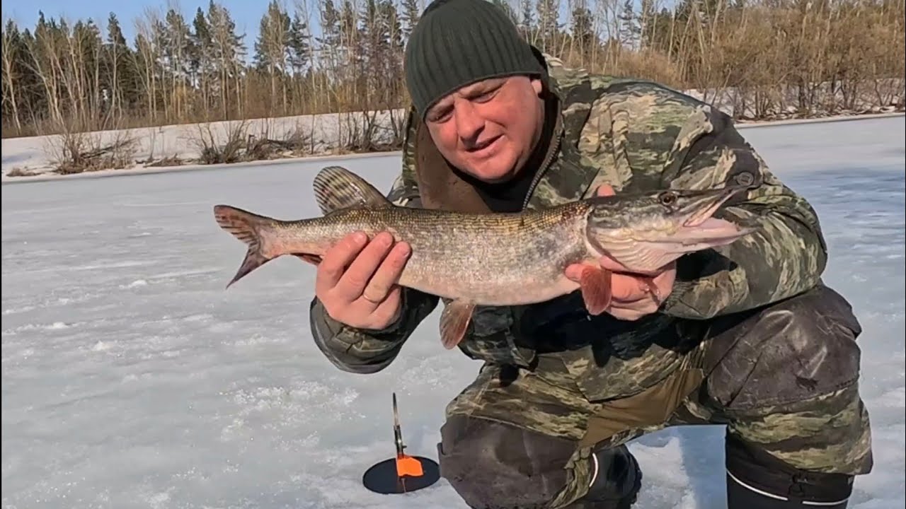 Запахло весной. Наверно крайняя рыбалка по открытой воде на реке...