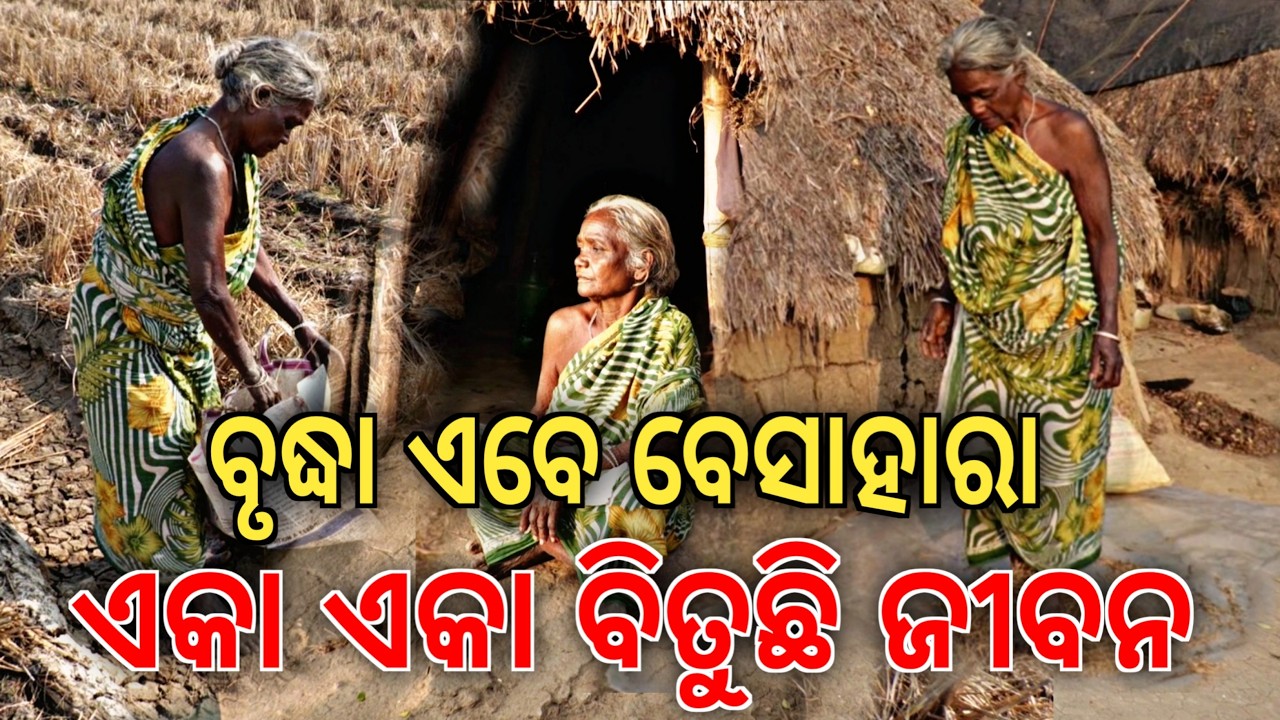 ଜରି ପାଲ ତଳେ ଜୀବନ
