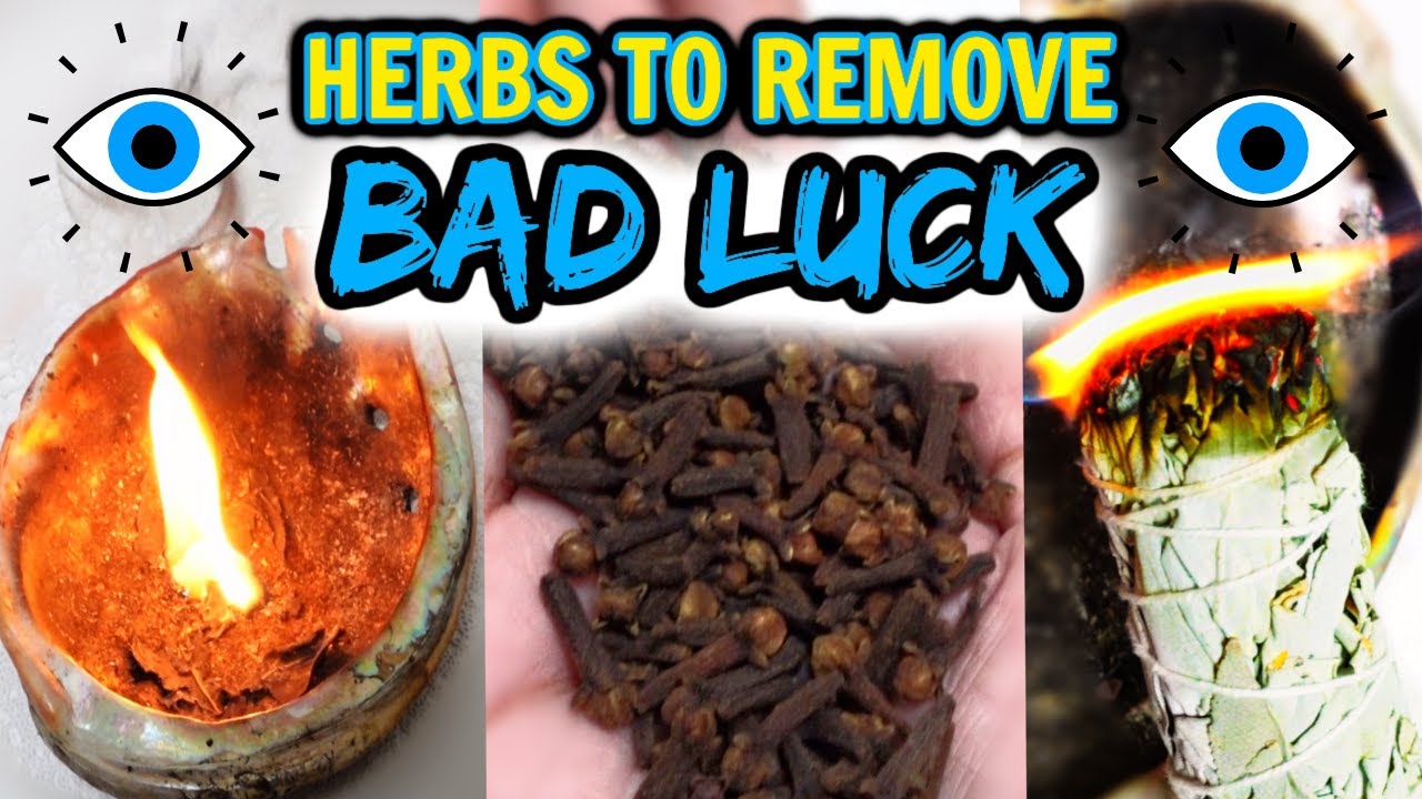 HERBS TO REMOVE BAD LUCK AND EVIL EYE FROM YOUR HOME, RELATIONSHIPS AND FINANCES 🧿