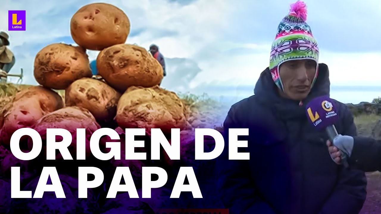 Documental presenta el origen de la papa: 